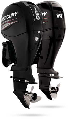 Mercury Marine Service Dealer Stellar marine